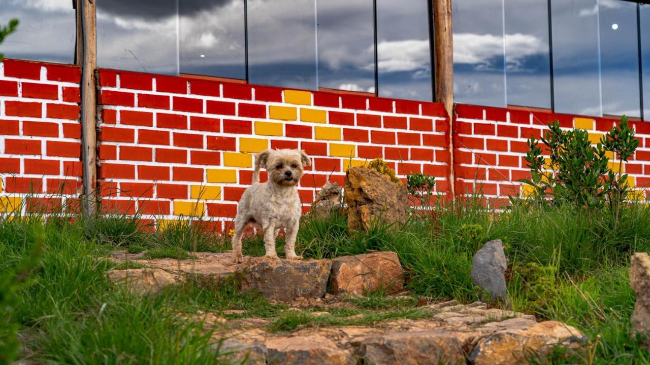 Hotel Sky Dome Peru Cuzco Zewnętrze zdjęcie